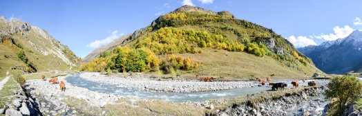 Vallée des Chappieux-BSM-hiver2025-©infosnews-83.jpg