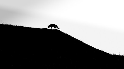 image00005-672b38db8b55b047415901.jpeg