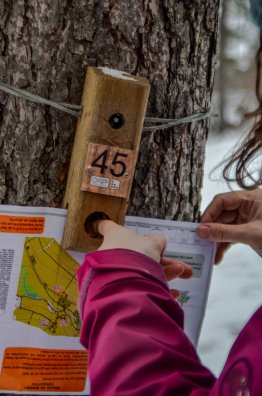 4-PEISEY-VALLANDRY-Site Nordique-hiver-2019-course d'orientation-balise © Infos news-22.jpg