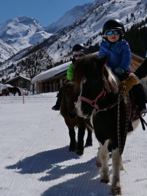 Poney_en_hiver-OTGP-34794.JPG