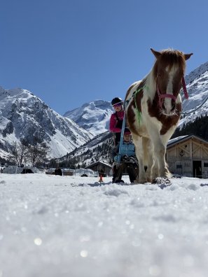 Poney_luge-OTGP-34787.JPG