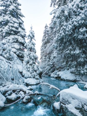 Premiere_neige_Champagny-OTGP_JYM-22175.jpeg