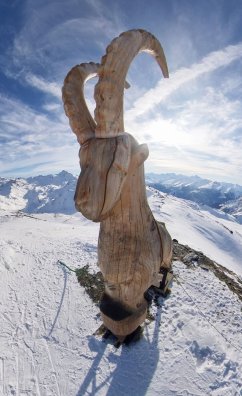 Bouquetin-Vincent_LOTTENBERG-25715.JPG