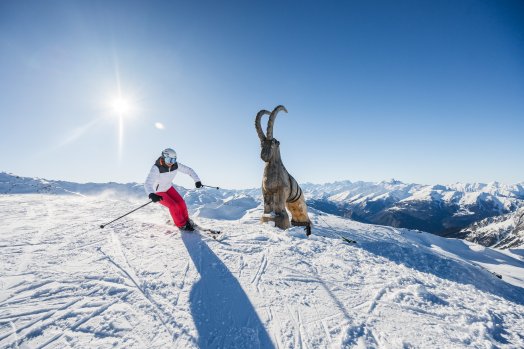 Ski_couple-Vincent_LOTTENBERG-36058.JPG