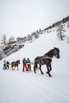 Nordic en F€te Peisey-Vallandry Hiver-2020 Ski joering ё Infosnews-46.jpg