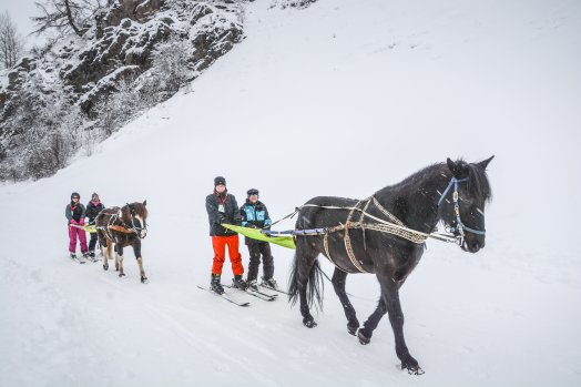 Nordic en F€te Peisey-Vallandry Hiver-2020 Ski joering ё Infosnews-50.jpg