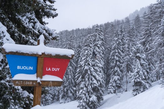 Domaine_skiable_foret-OTGP_Brendan-24304.JPG