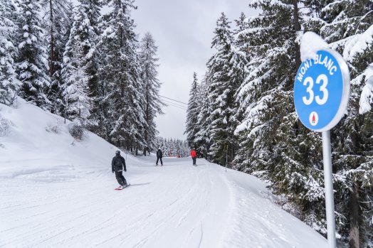 Ski_et_sapins-OTGP_JYM-24297.JPG