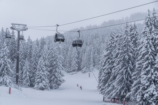 20231126-foret-hiver-verdons-courchevel-cc-paul-besson_-expinf-11.jpg