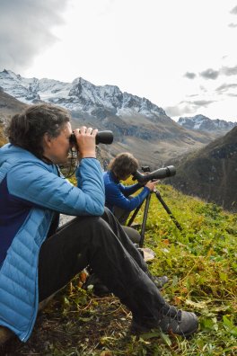 observation photo gypaete - Jean-Luc Danis - PEISEY-hiver2025-©infosnews-52.jpg