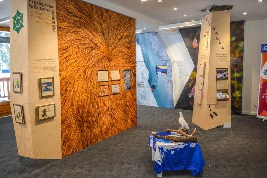 Buvette de tueda-Méribel-hiver2024-©infosnews-91.jpg