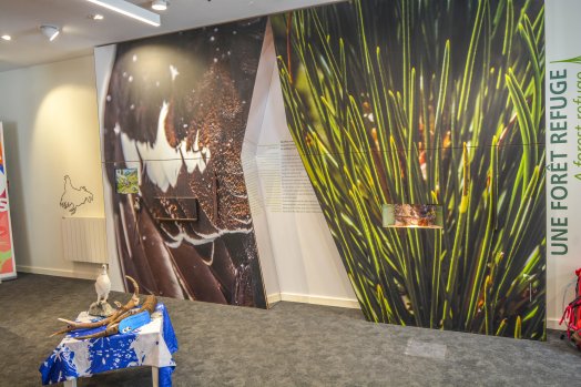 Buvette de tueda-Méribel-hiver2024-©infosnews-96.jpg