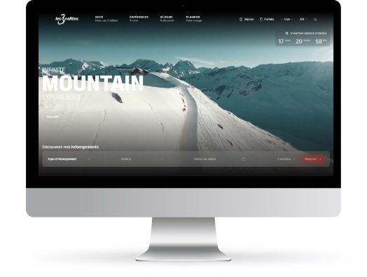 Capture site web 3V.jpg