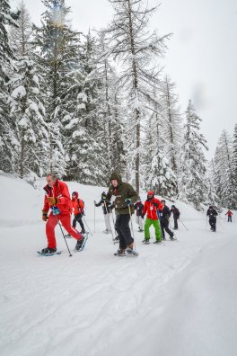 Nordic en Fête Peisey-Vallandry Hiver-2020 Raquettes © Infosnews-68.jpg