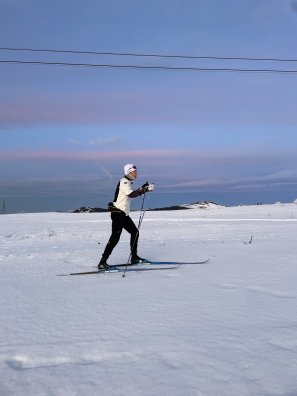 IMG_2517.jpg