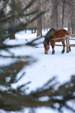 Centre Nordique - Peisey-Vallandry-hiver2025-©infosnews-8.jpg