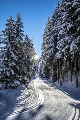 Ski_de_fond_espace_nordique-Nomad_Photographie-33755.JPG