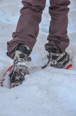 Randonnée raquettes Cascade des Poux - Courchevel - HIVER 2023 ©Infosnews-27.jpg