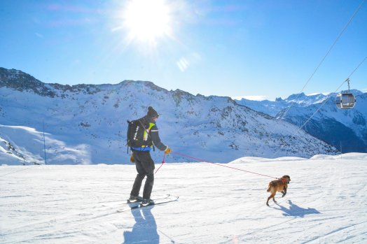 Exercice Recherche de victimes d'avalanche Orelle-hiver2025-©infosnews-38.jpg
