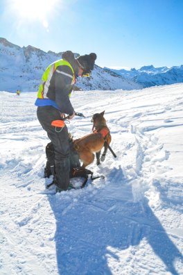Exercice Recherche de victimes d'avalanche Orelle-hiver2025-©infosnews-49.jpg