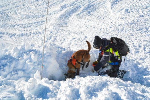 Exercice Recherche de victimes d'avalanche Orelle-hiver2025-©infosnews-62.jpg