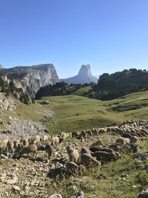 vercors-2685909_1280.jpg