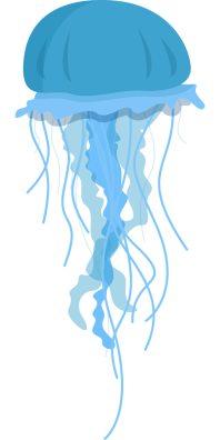 jellyfish-7747031_1280.png