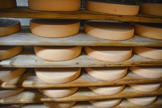 Visite fromagerie-Peisey-hiver2025-©infosnews-53.jpg