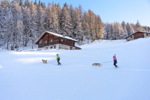Cani-Raquette-OTGP-22155.jpeg