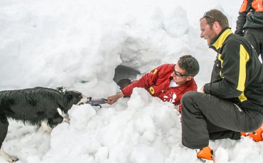 Chiens d'Avalanche LES ARCS 2000 Hiver-2011 © Infosnews-3.jpg