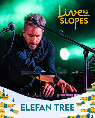 ANNONCE ELEFAN TREE.png
