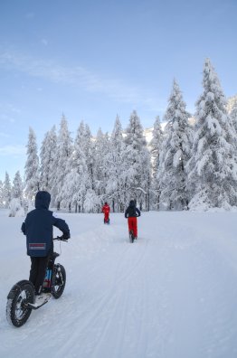 e trottinette - vallon de rosuel - ESF - Peisey -hiver2025-©infosnews-160.jpg