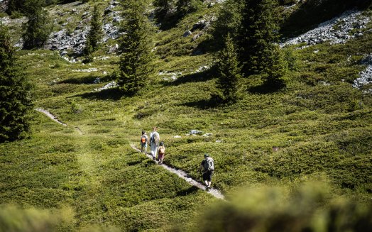 (c)Yann_Allegre_-_Rando_famille_Peisey_(29).jpeg
