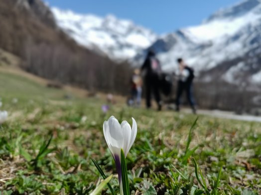 fleur-2-bastiengonkel-64254057b02ac713141910.jpg