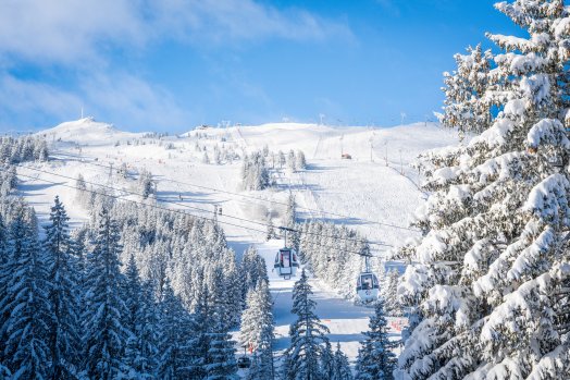 20241224-front-de-neige-paysage-station-telecabine-chenus-hiver-courchevel-1850-cc-laila-franchini-expinf108.jpg