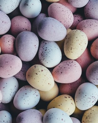 eggs-1245719_1280.jpg