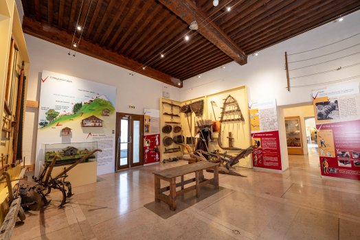 MUSEE_MOUTIERS_A-ABONDANCE-70.jpg
