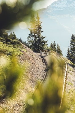 2020-velo-route-via-3-vallees-amis-ete-col-loze-courchevel-cc-arthur-bertrand-exp20231007-016.jpeg