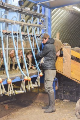 Bergerie de Bonvillard-la plagne-hiver2025-©infosnews-34.jpg