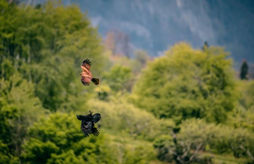 20240422_Vincent Lottenberg-6.jpeg