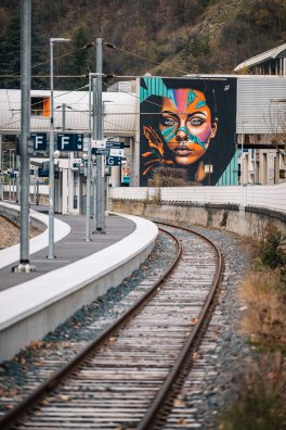 20250326_Expo Street art_Vincent Lottenberg-2-2.jpeg