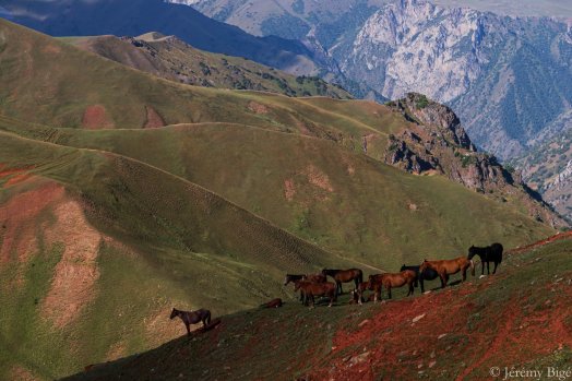 BE2022_MontsCelestesPamir_ (69).jpeg