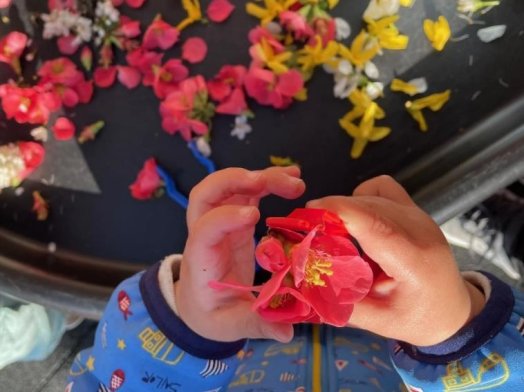 2025-05-14 Quand l’art et la nature s’invitent à la crèche[37].jpg
