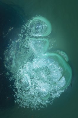 _-6.jpg