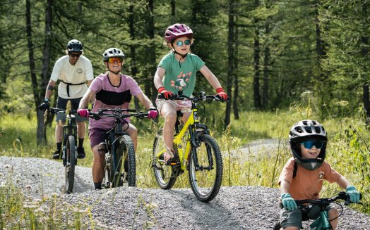 (c)Yann_Allegre_-_VTT_famille_Peisey-Vallandry_(19).jpg