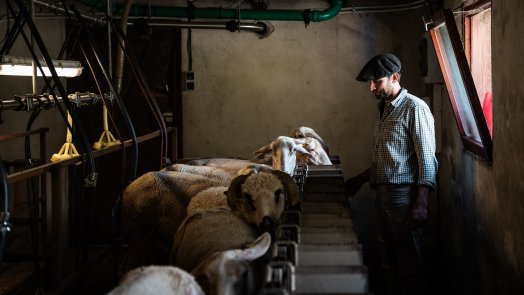 Bergerie de la Fya_Haute Tarentaise Vanoise_Yann Allègre_Sans date limite d'utilisation (8).jpg