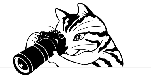 photographer-3141156_1280.png