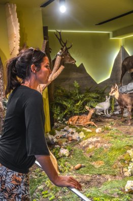 museeum-des-animaux-de-montagne-vallandry-ete-2022-c-infosnews-22-66991df3b0f74440830342.jpg