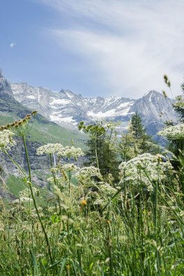 Refuge de Rosuel-peisey-Vallandry-©infosnews--281.jpg