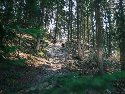 MTB_2022_-_BIKEPARK_-_DRE_DANS_L_PENTU-1057478.jpeg
